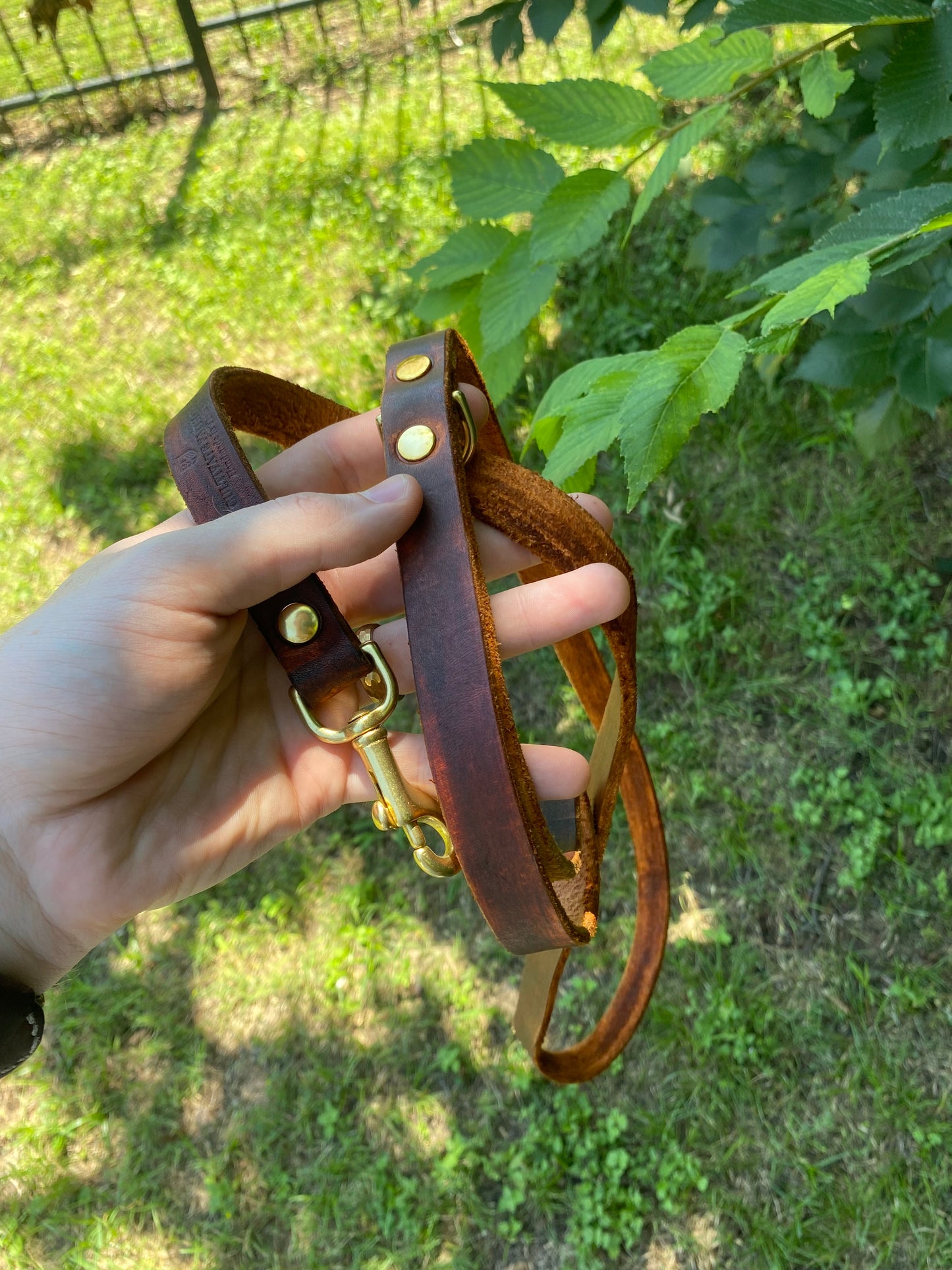 Dog Leash