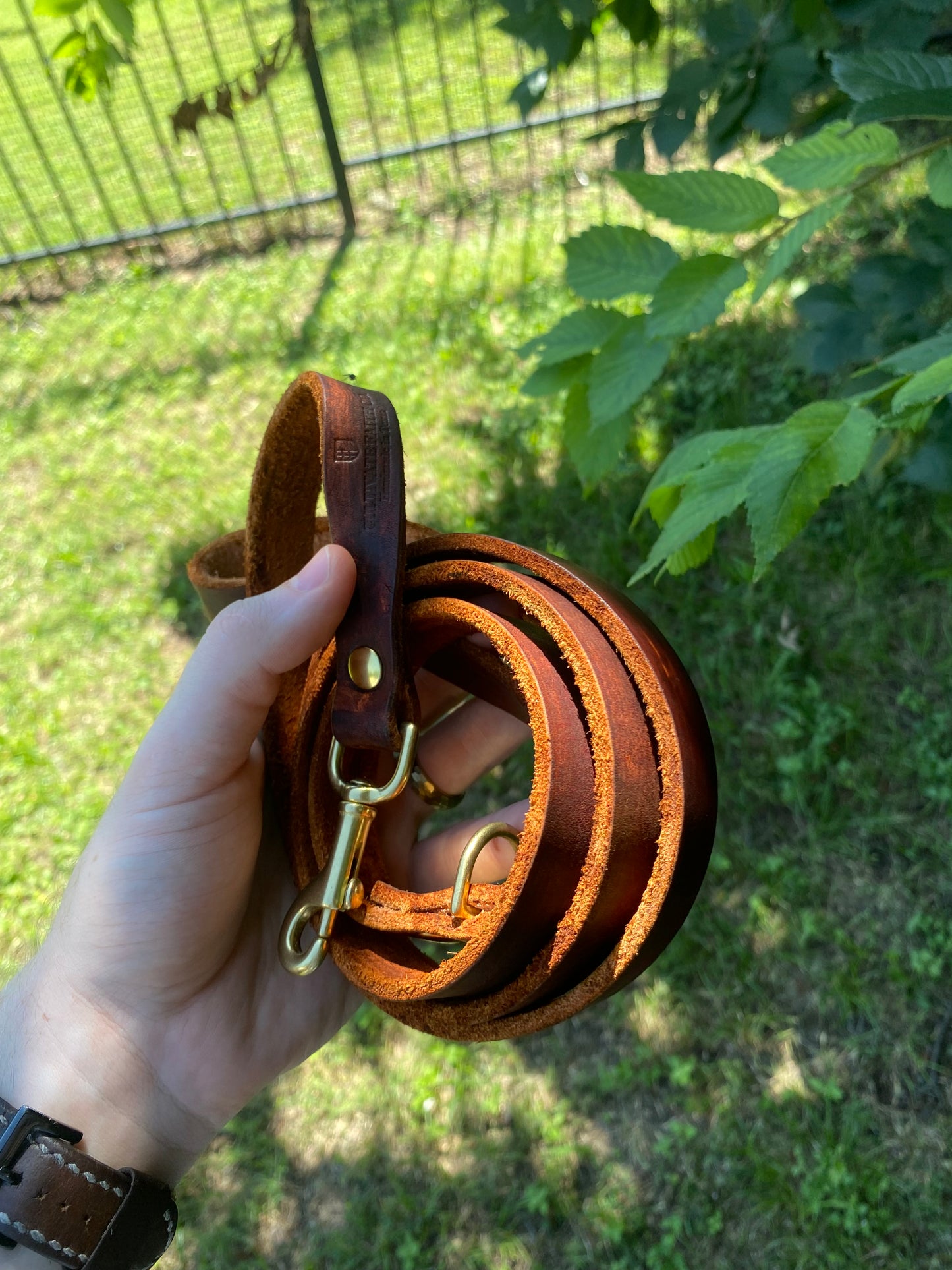 Dog Leash